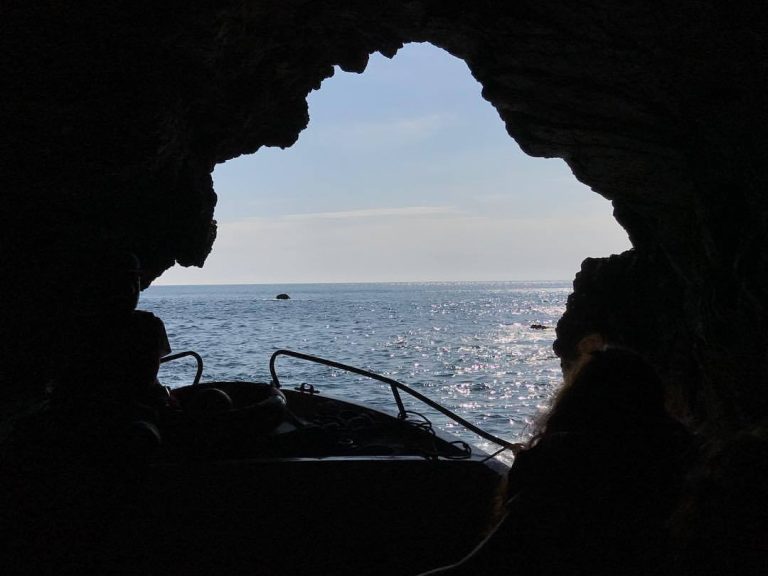 Berlenga Caves Pack - Tour to the caves in a glass-bottomed boat. Berlenga Island is a true natural gem located off the...